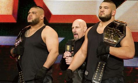 Ellering And AOP Together Again, Triple H On Returns