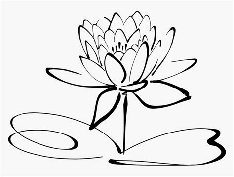 Lotus Flower Line Art Free Photo - Lotus Flower Clipart Black And White, HD Png Download - kindpng