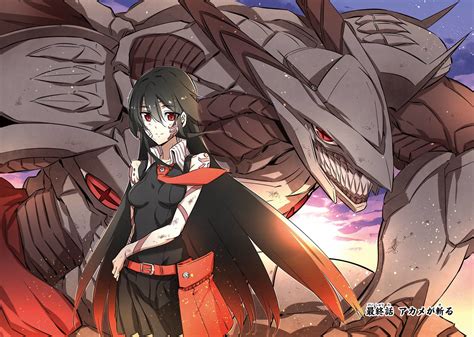 Akame ga Kill! Image by Tashiro Tetsuya #2165189 - Zerochan Anime Image Board