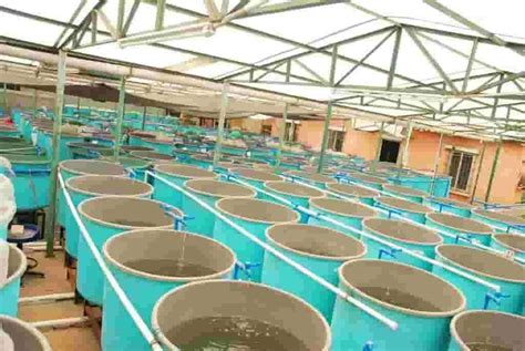 Fish Farms | Fish Farming Information and Resources | Farms.com