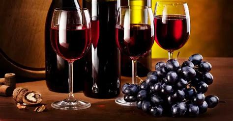 4 vinos tintos para enfrentar el invierno adecuadamente