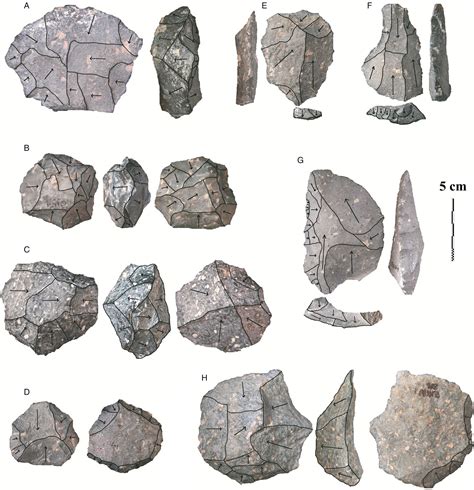 Sciency Thoughts: Middle Palaeolithic stone tools from the Nejd Region of Saudi Arabia.