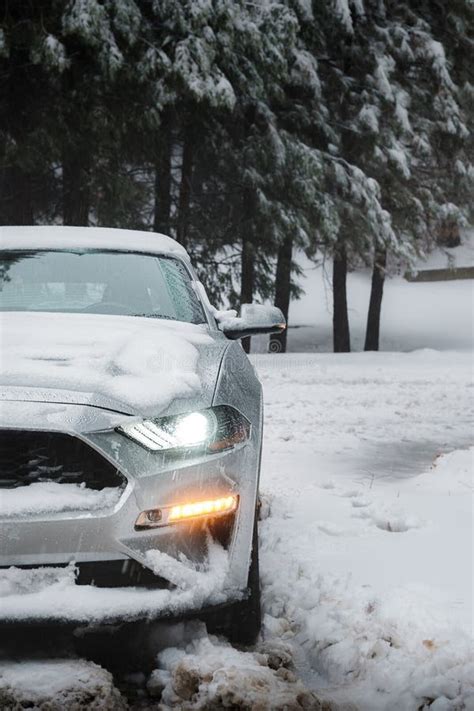 Mustang in the Snow stock image. Image of arrowhead - 171746243