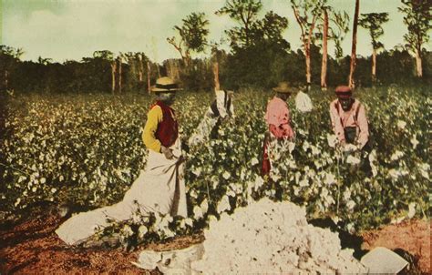 Cotton Gin On Slaves Before Civil War