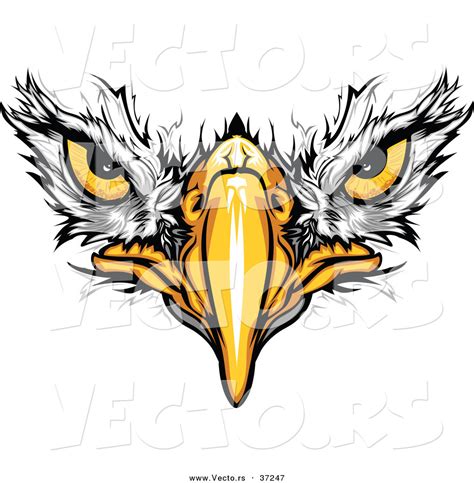 Cartoon Vector of Bald Eagle Face with Fearless Eyes Intensely Staring by Chromaco - #37247