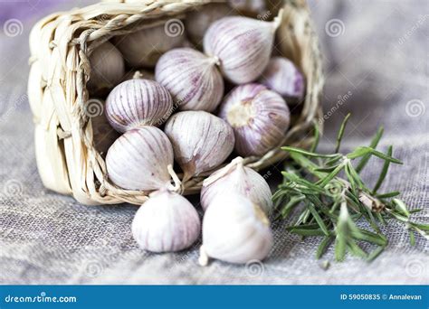 Organic garlic stock image. Image of clean, clove, healthy - 59050835