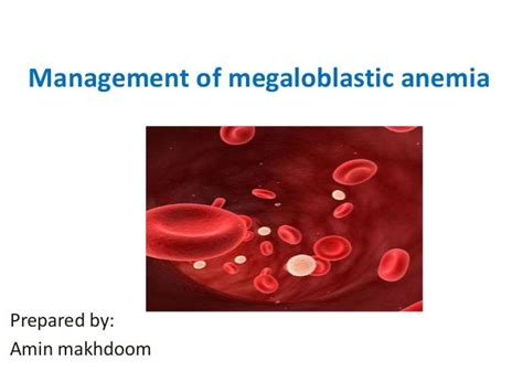 Management of megaloblastic anemia