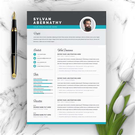 21+ Best Contemporary (New Styles) Resume CV (For 2020/2021)