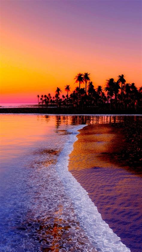 Download Wallpaper 720x1280 Beach, tropics, Sea, Sand, Palm trees ...