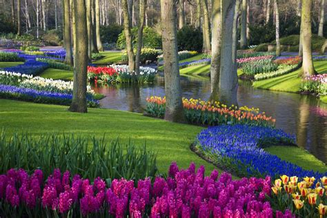 Best Way to Get to the Keukenhof Tulip and Bulb Gardens