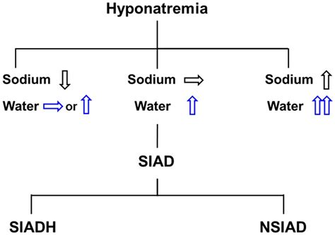 Frontiers | The Role of Vasopressin V2 Receptor in Drug-Induced Hyponatremia