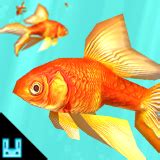 Goldfish Particles