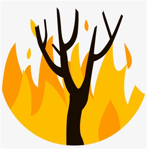 Wildfire Clipart Png Transparent PNG - 880x880 - Free Download on NicePNG