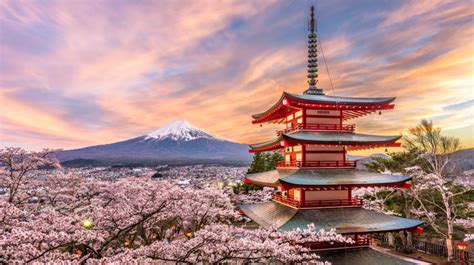 Japan in March: Weather Tips and Festivals I Bookmundi