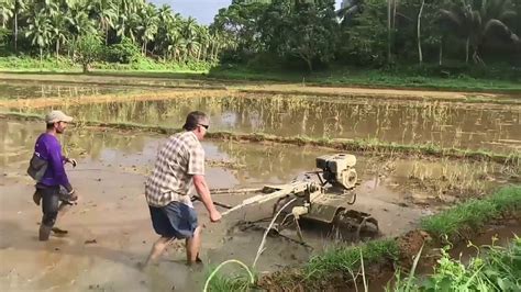 Rice planting - Philippines - YouTube