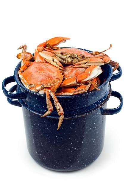 Best Crab Boil Stock Photos, Pictures & Royalty-Free Images - iStock