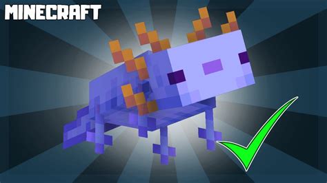 MINECRAFT | How to Get Rare BLUE Axolotl! 1.17 - YouTube