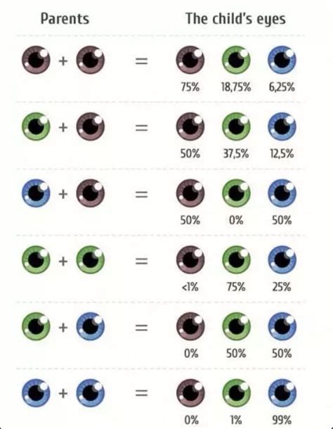 Eye Colour Probability Chart Eye Color Chart Eye Color Chart | Images and Photos finder