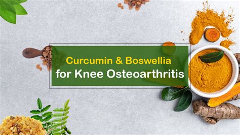 Curcumin & Boswellia for Knee Osteoarthritis: The Amazing Benefits - Dr. Rajat Trehan