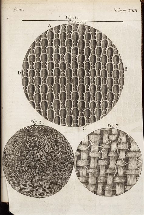 [page image] | History of science, Science illustration, Scientific ...