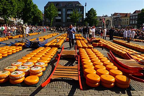 Alkmaar cheese market in Holland – My Hidden Gems