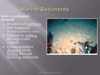 Marine Sediments | PPT