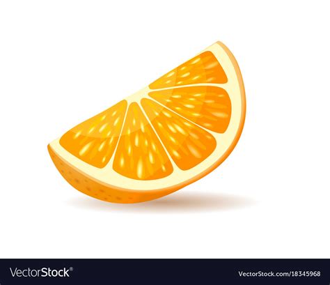 Orange slice with peel Royalty Free Vector Image