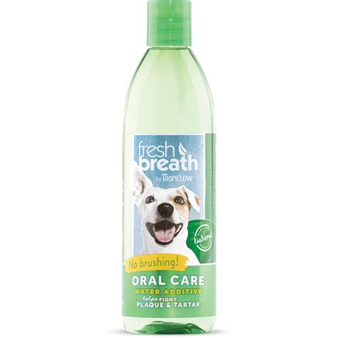 How to Get Rid of Bad Dog Breath - Dog Breath Remedies