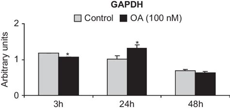 GAPDH gene expression after OA exposure for 3, 24, and 48 h. Bars ...