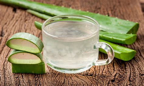 Aloe Vera Juice Benefits: Why Aloe Vera Juice Is a Perfect Summer Drink - Thrillist