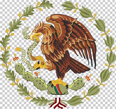 Coat Of Arms Of Mexico Flag Of Mexico National Emblem PNG, Clipart, Bald Eagle, Beak, Bird, Bird ...
