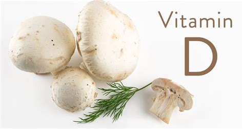 Vegan Vitamin D from Mushrooms - Real Mushrooms