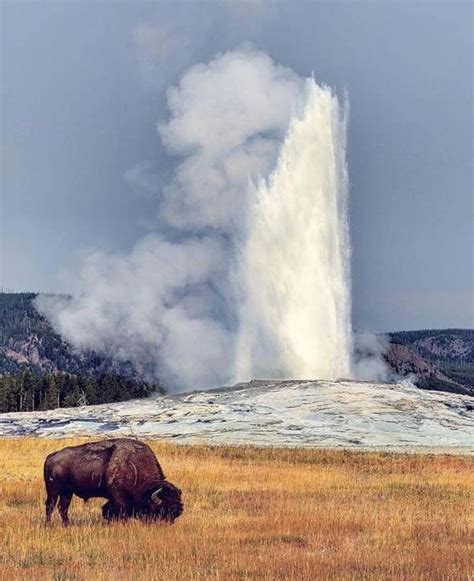 Yellowstone's Old Faithful Geyser Just Started Erupting Snow ...