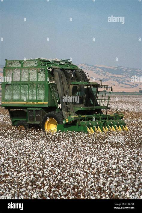 Farmer harvesting cotton in a John Deere cotton harvester ca. 2011 or ...