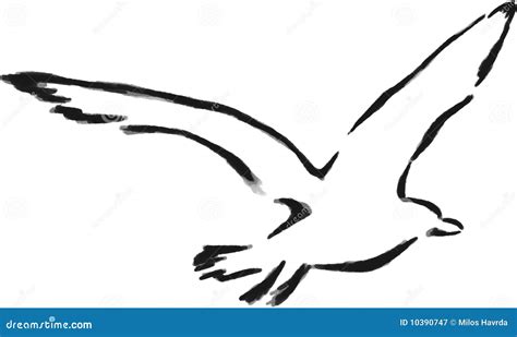 Isolated Outline Seagull Royalty Free Stock Photography - Image: 10390747