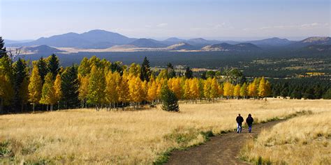 17 Best Hikes in Flagstaff to Reconnect You with Nature - Flavorverse