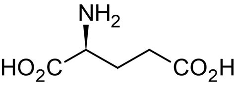 Glutamate Structure