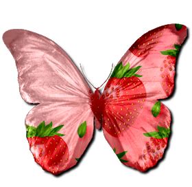 Butterfly Live, Butterfly Drawing, Butterfly Painting, Butterfly Wallpaper, Cute Wallpaper ...