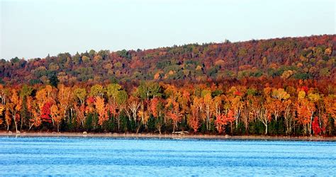 Fall Foliage Colors In Maine - MeInMaine Blog