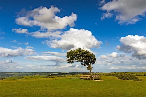 10 Best Hiking Trails in The Cotswolds - The Cotswolds' Most Popular Hiking Spots - Go Guides