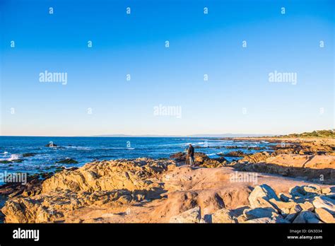 Artist painting on the rocks ocean Stock Photo - Alamy