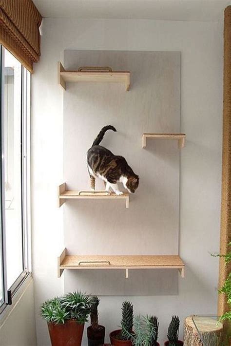 30 Modern DIY Cat Playground Ideas In Your Interior | Cat playground, Cat wall shelves, Cat ...