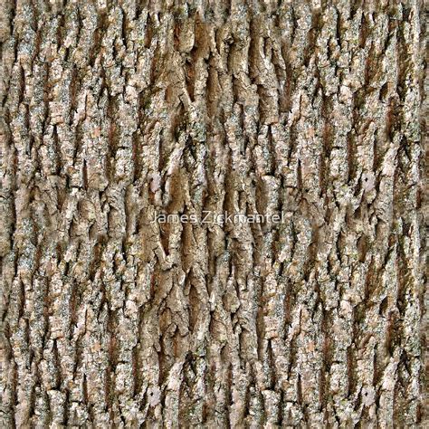 "Oak Tree Bark (Seamless Texture)" by James Zickmantel | Redbubble