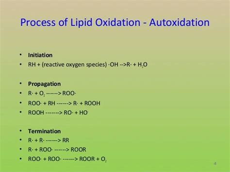 Lipid Oxidation On Food Mechanism