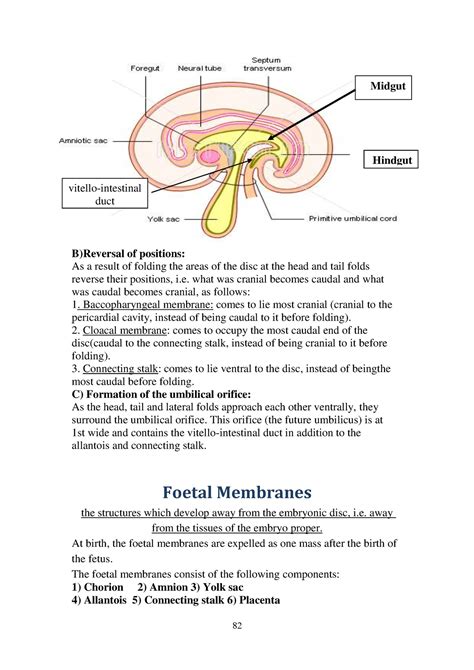 Fetal membranes - B)Reversal of positions: As a result of folding the areas of the disc at the ...