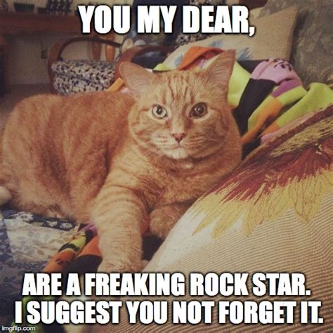 You Are A Rock Star - Imgflip