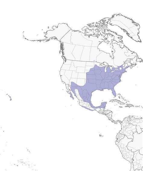 Cardinal Migration Map