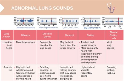 Lung Sounds Abnormal Breath Sounds And Auscultation Respiratory | Hot Sex Picture