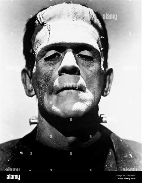 BRIDE OF FRANKENSTEIN 1935 Universal Pictures film with Boris Karloff ...