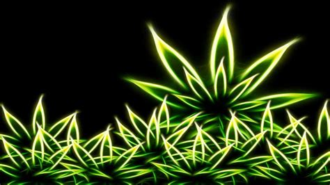 Rasta Weed Wallpapers on WallpaperDog